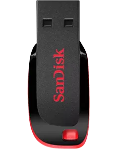 Flash Disk Icon.webp